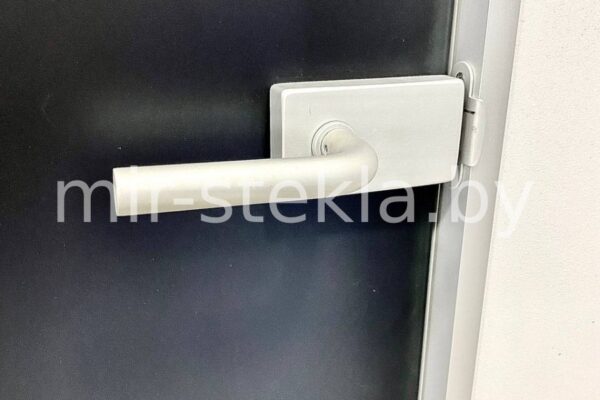 Стеклянные двери